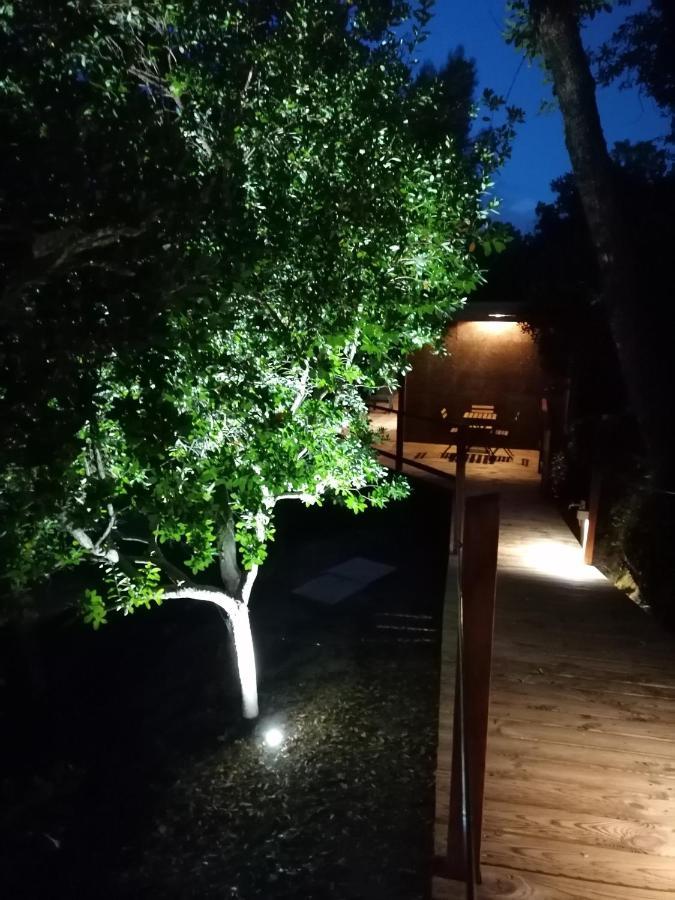 Quinta Mata Da Se 호텔 미란다 두 코르부 외부 사진